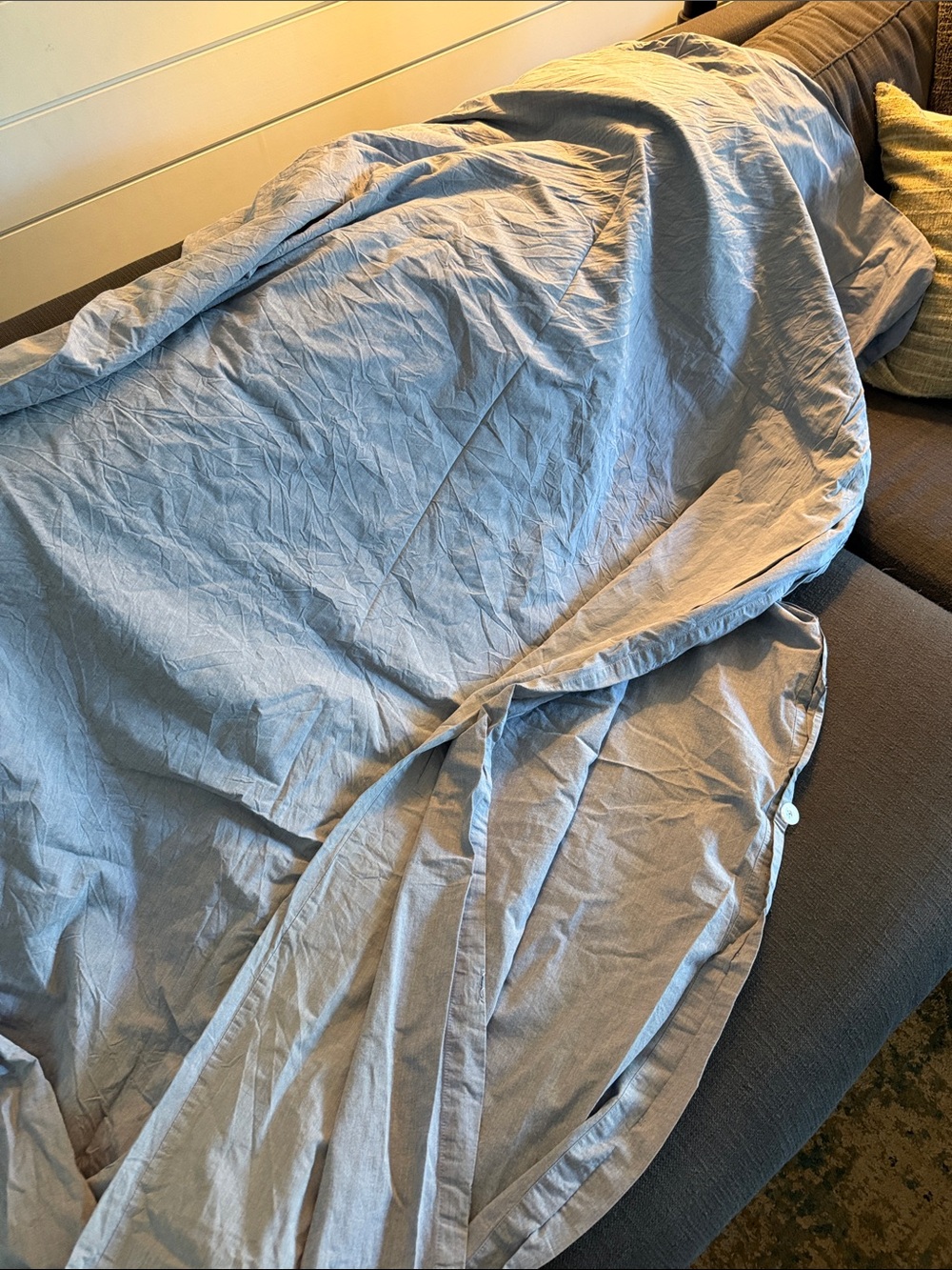 Pottery Barn Kids Light Blue Cotton Duvet Cover